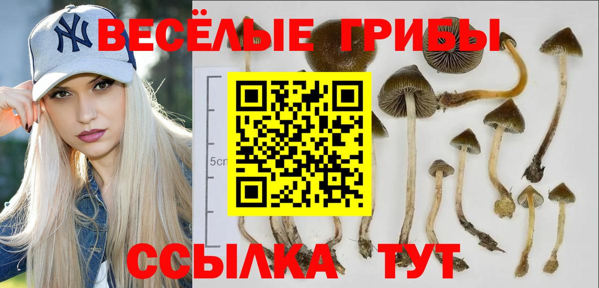 Ликино-Дулёво  Галлюциногенные грибы мицелий  Вход с VPN 